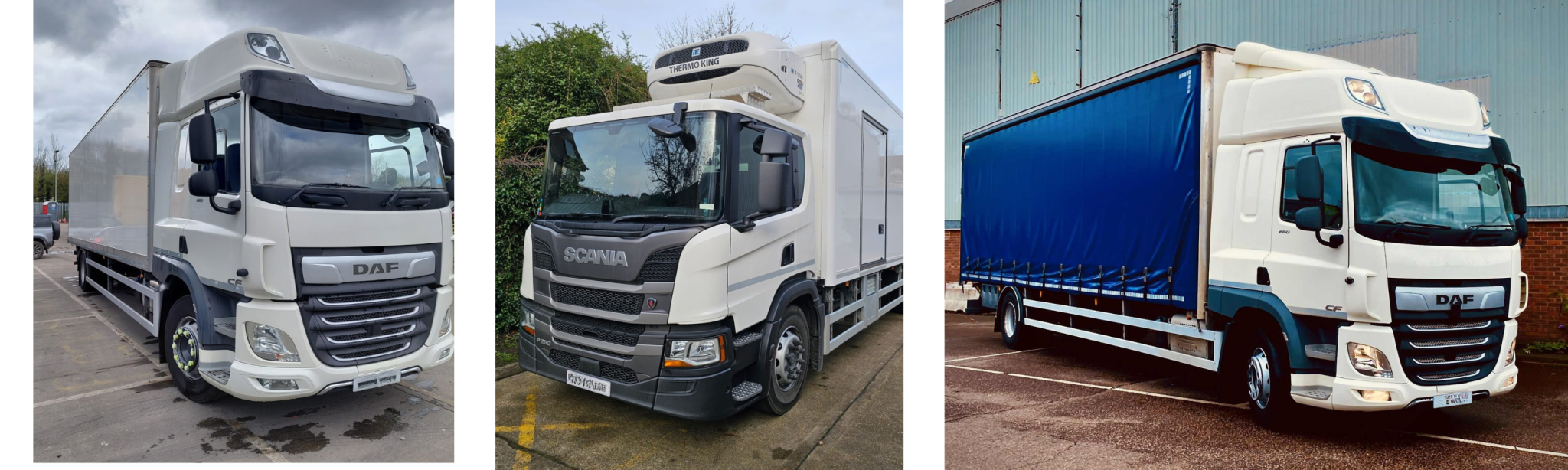 untitled design (13)