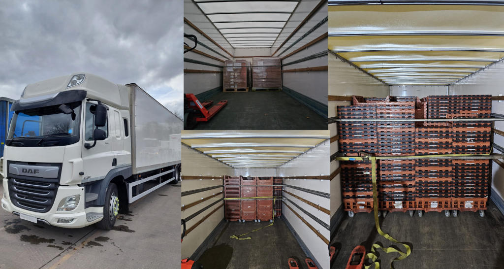 untitled design (17)